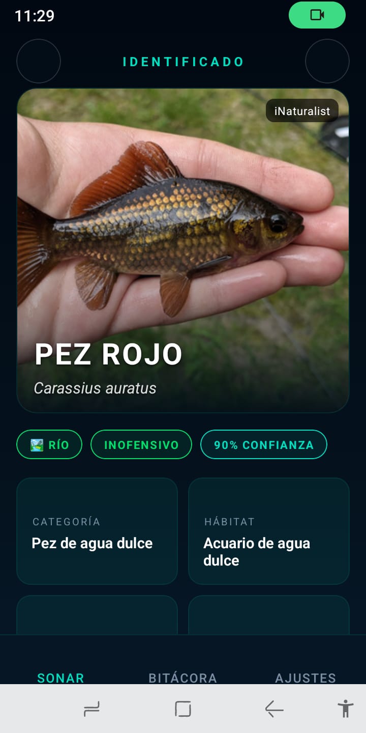 Fish of Type — pantalla principal
